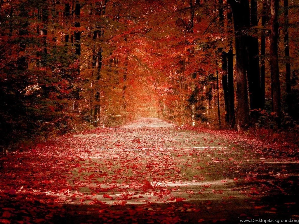 Fall Desktop Images Desktop Backgrounds