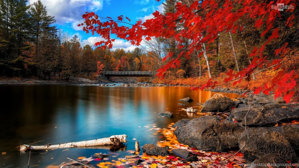 10 Best Autumn HD Wallpapers
