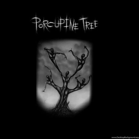 Porcupine Tree By Qadawra On DeviantArt