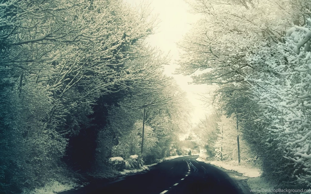 Winter road wallpapers_27239_1920x1200.jpg