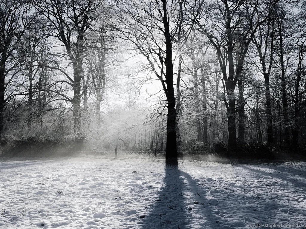 We Have A Demand Problem, Swiftcurrent Lake Rain Storm Wallpapers ...