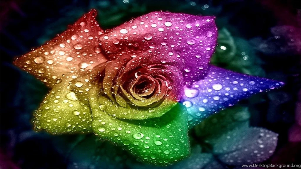 HD Wallpapers Freebie Quality Free Download Wallpapers