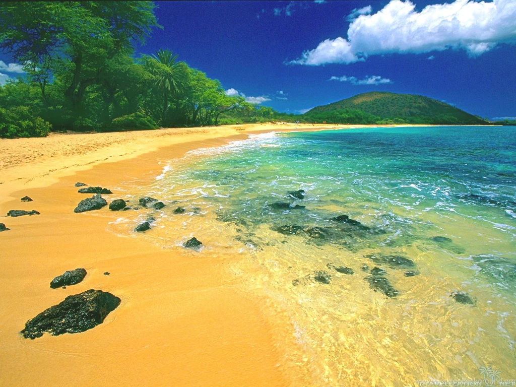 Most Exotic And Relaxing Beach Wallpapers