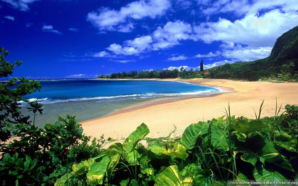 Hawaii Maui Wallpapers 1600x1200 Hawaii Maui