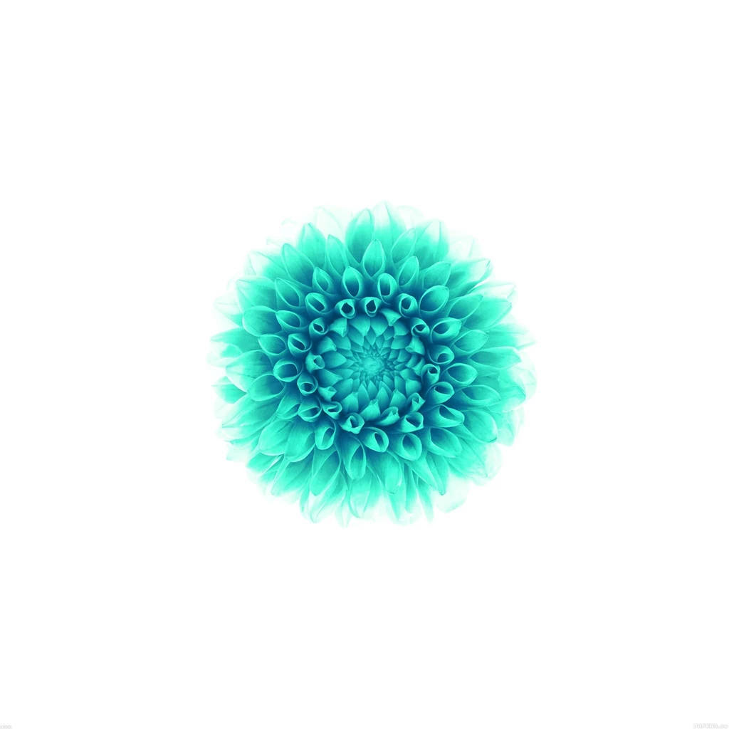 Floral Wallpapers Iphone 6 Plus High Resolution BACKGROUND ...