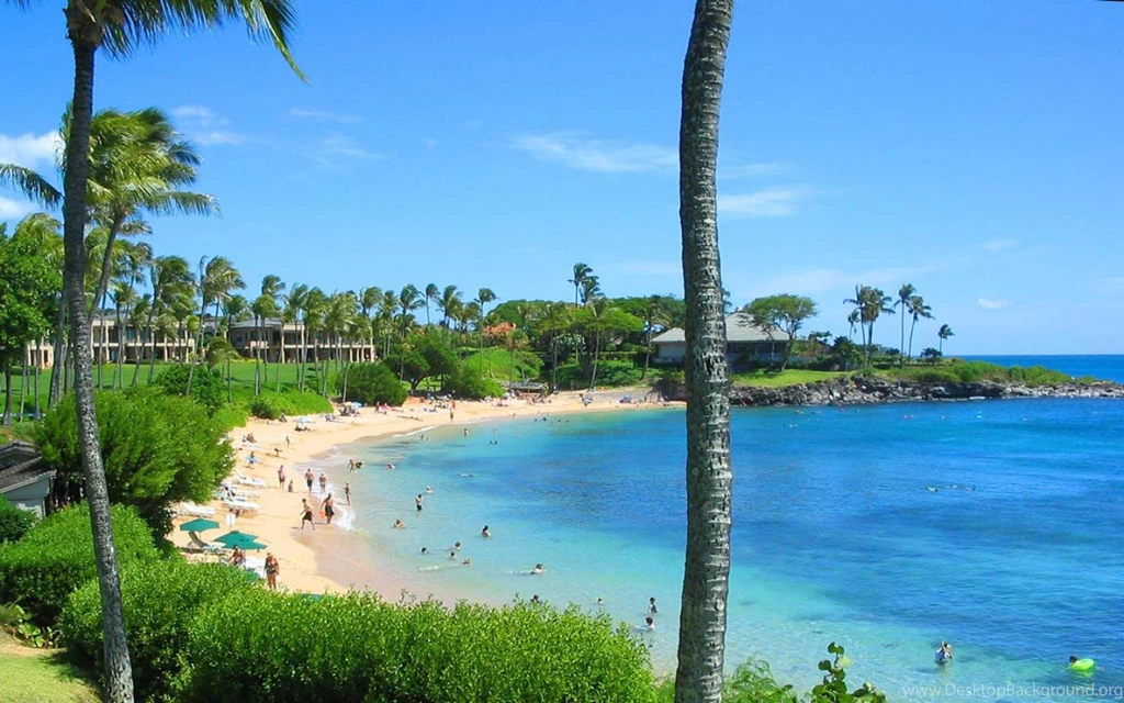 Best Beach Kapalua Bay, Maui 1440x900 Wallpapers