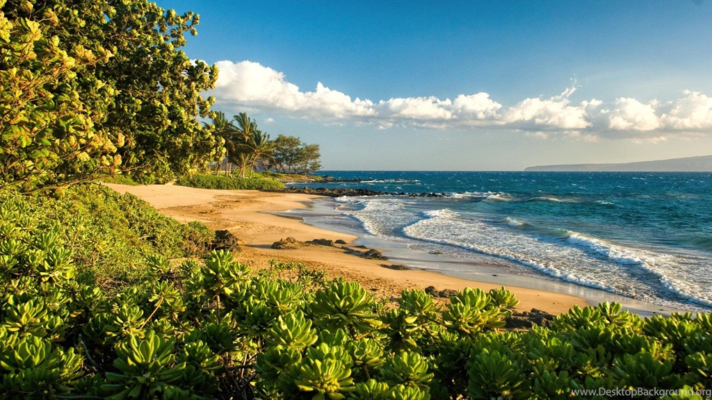 Polo Beach Maui Hawaii Paradise Island Sea And Sand (