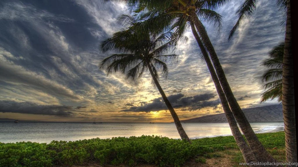 MAUI SUNSET WALLPAPER (