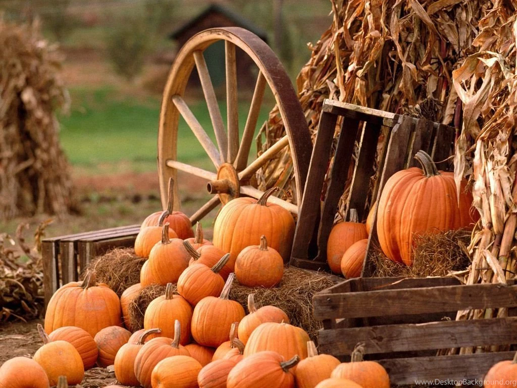 Brentwood Pumkinfest