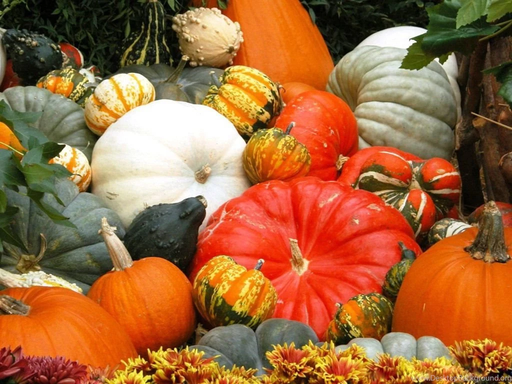 Desktop Wallpapers · Gallery · Miscellaneous · Halloween Pumpkin ...