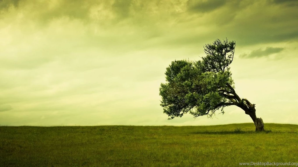 1366x768 Wallpapers HD   Wallpapers Cave