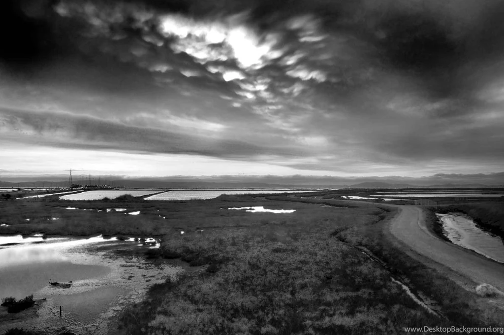 Beaches Beach Strand Seaside Black White Nature Phone Wallpapers ...