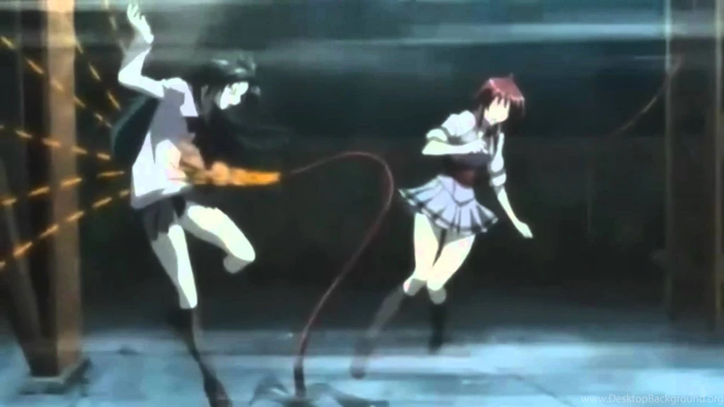 Seikon No Qwaser AMV.wmv YouTube