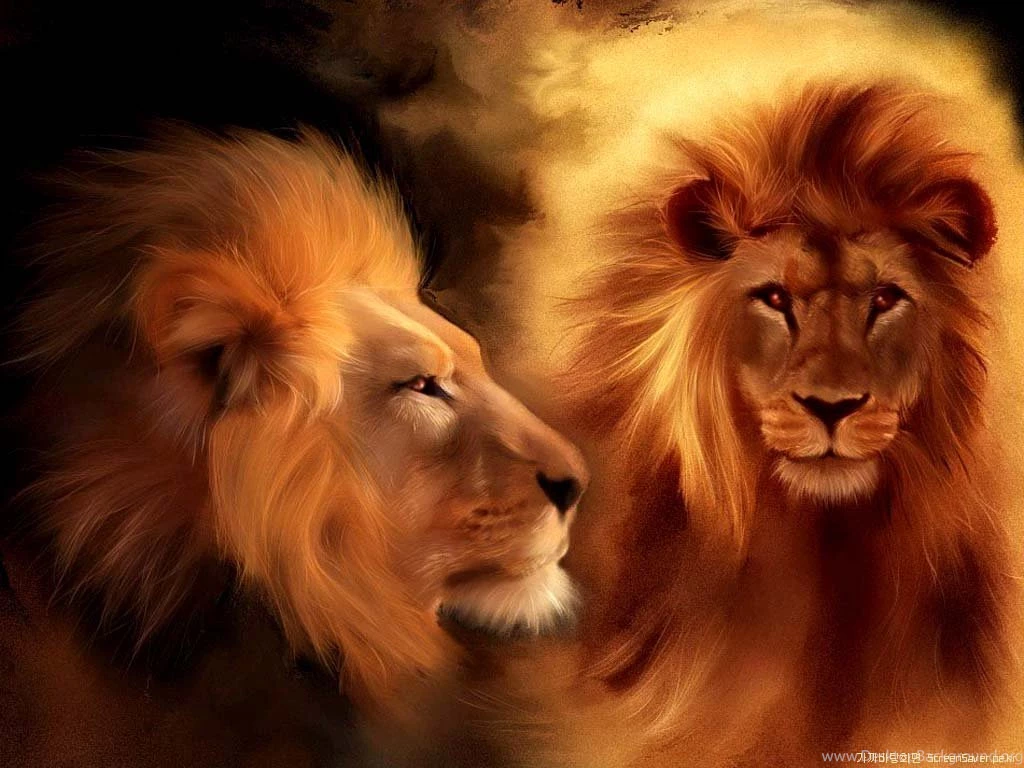 Wallpapers, Backgrounds, Backgrounds Wallpapers, Desktop Wallpapers ...