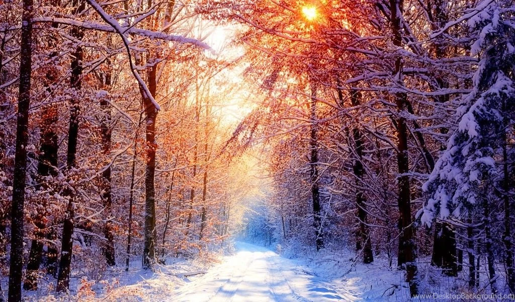 Winter Wallpapers Widescreen
