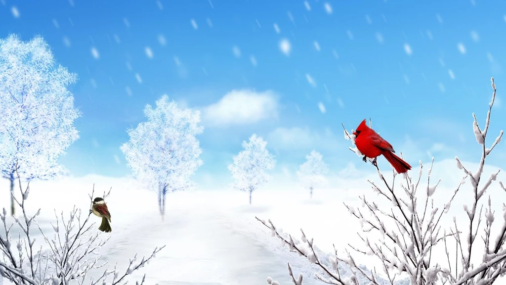 9580) Winter Animal Wallpapers HD   WalOps.com