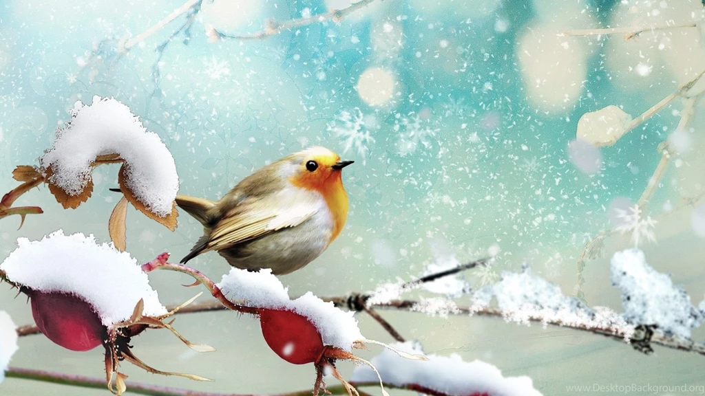Winter Birds Desktop Wallpapers   , New Wallpapers, New Wallpapers