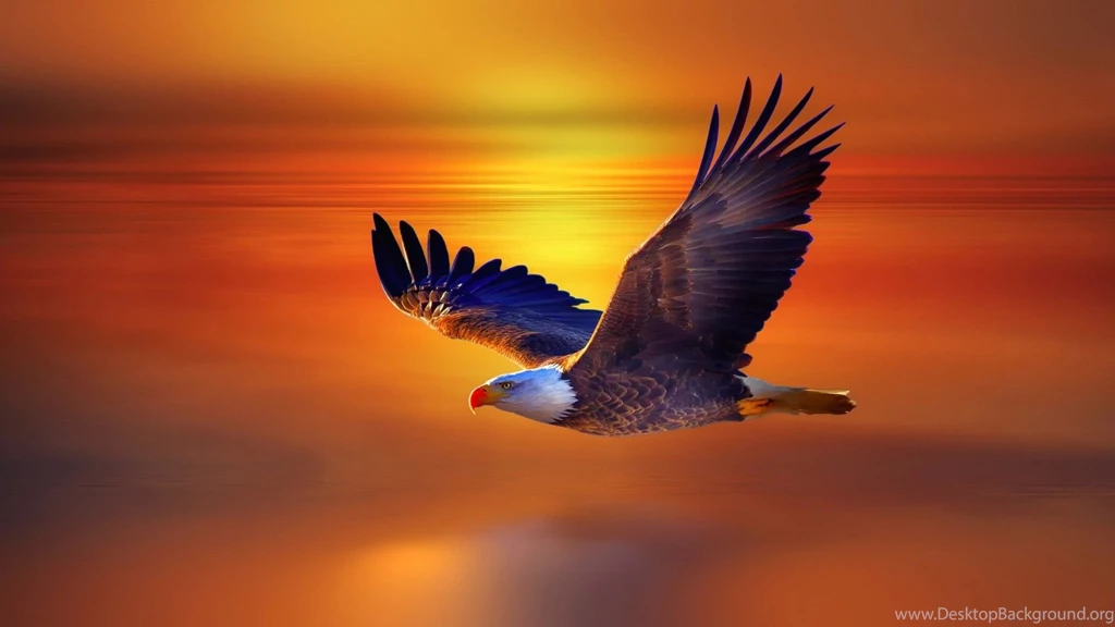 Download Eagle Wallpapers Free