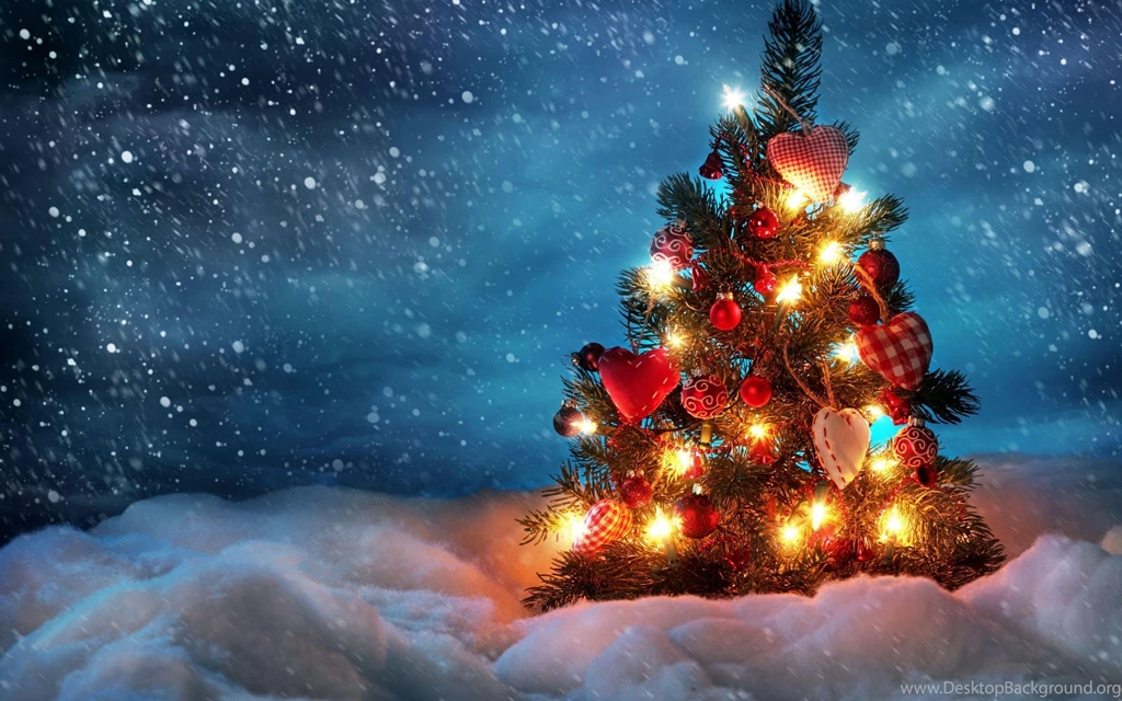 Download Wallpapers 2560x1600 Tree, New Year, Christmas, Snow ...