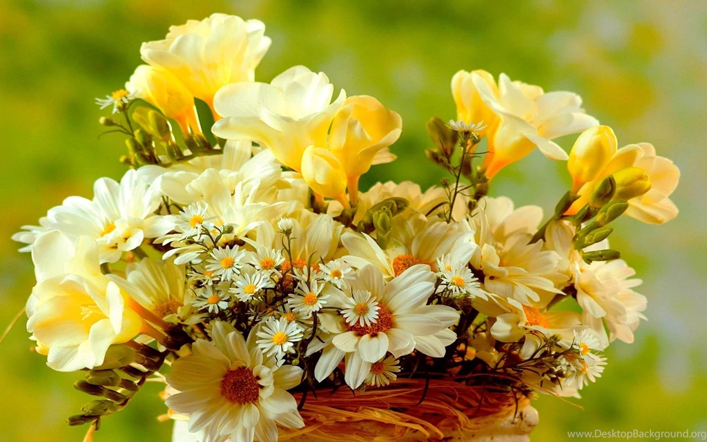 HD Wallpapers 1080p Bouquet 3.jpg