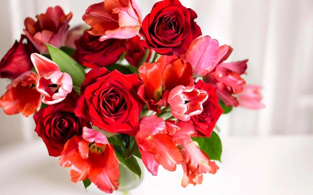 Blooming Flowers Images With High Resolution ~ Allfreshwallpapers