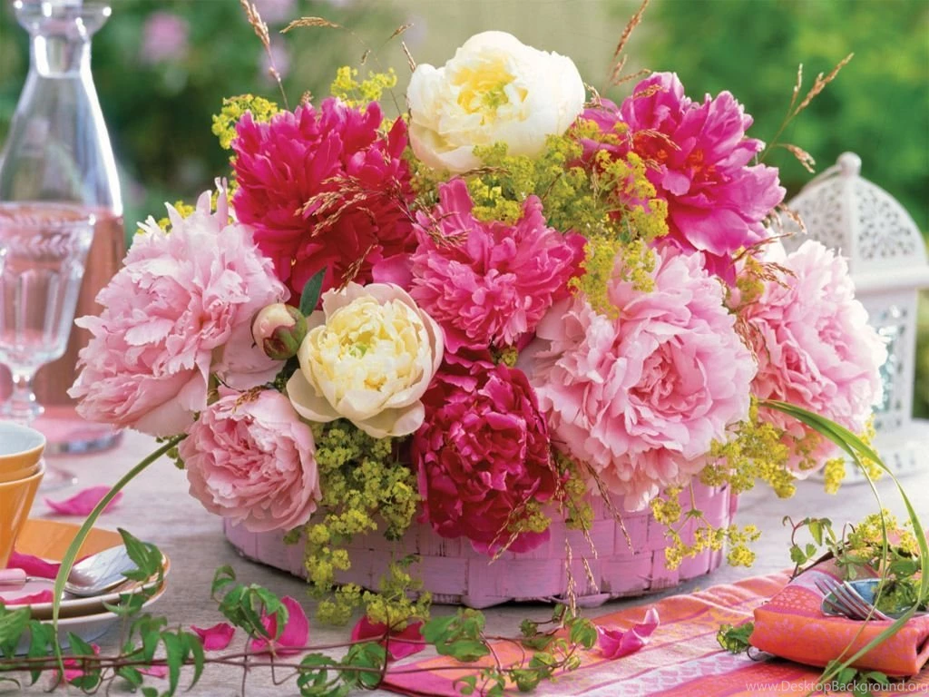 Flower Photos: February 2012