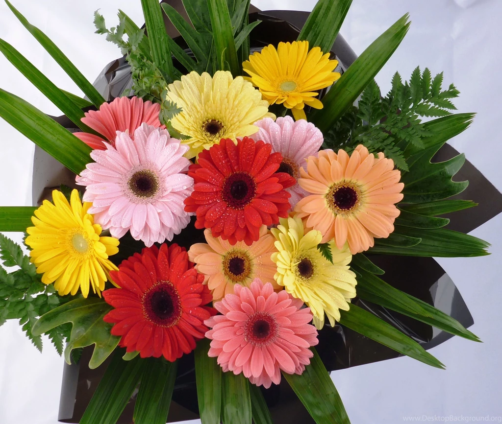 Bouquet Flowers Wallpapers HD (37)
