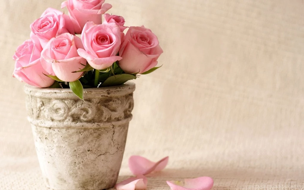 Flowers Wallpapers