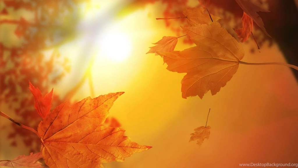 Vintage nature wallpaper 39669 hd wallpapers backgrounds ...