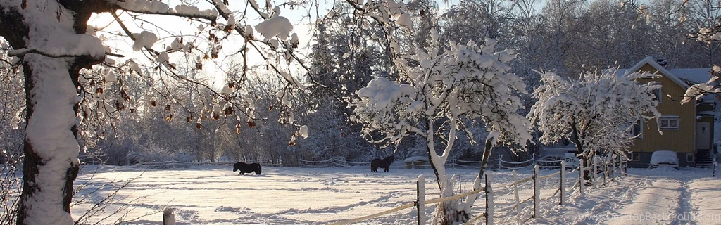 Download Wallpapers 3840x1200 Horses, Shelter, Snow, Winter Dual ...