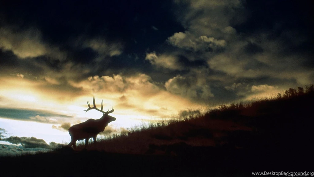 Full HD Wallpapers 1920x1080 Wallpapers Cave