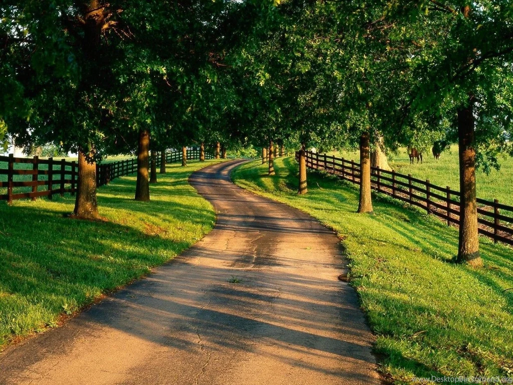 1600x1000px Nature Wallpapers Hd Free Download