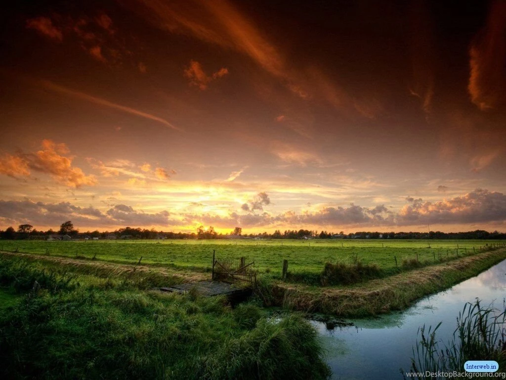 Free Nature Wallpapers Download HD Wallpapers And Pictures