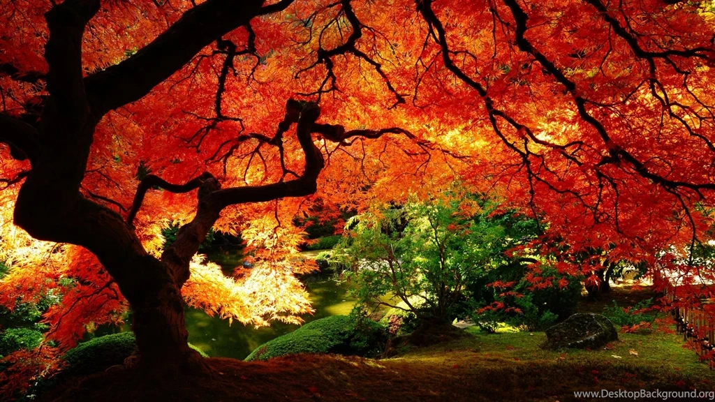 Best desktop backgrounds free.jpg