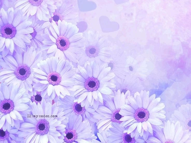 Flower Backgrounds Design Images