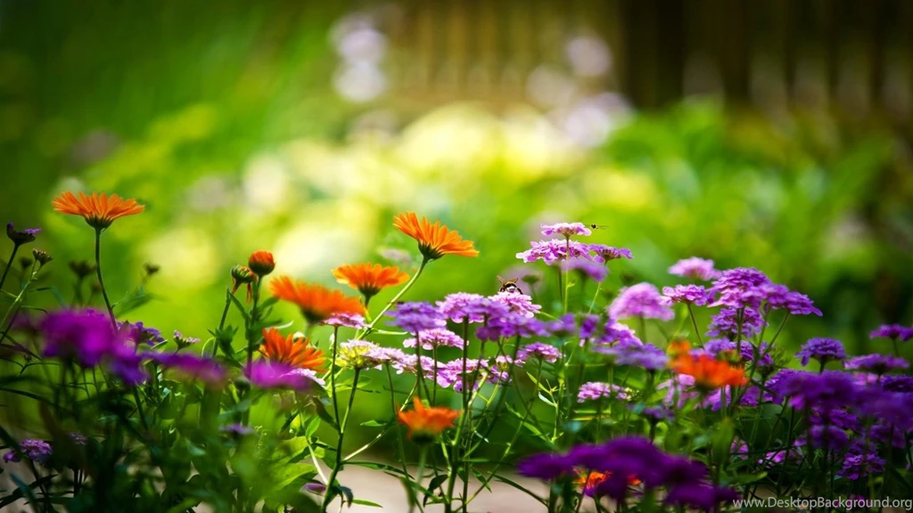 Beautiful Nature Flowers Wallpapers Hd Backgrounds 9 Hd Wallpapers ...