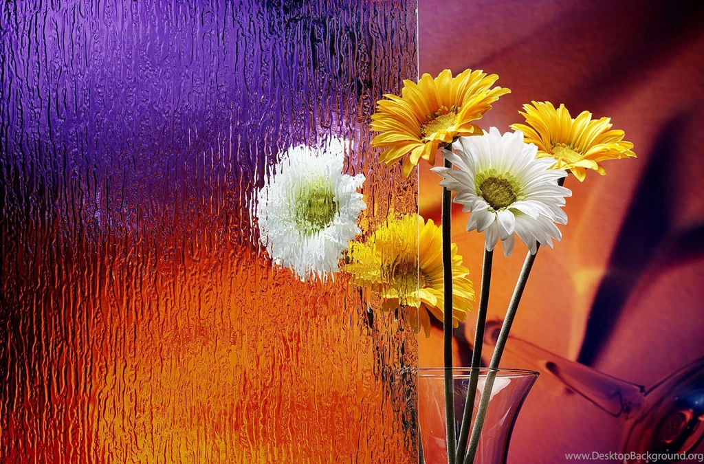 Flowers Wallpapers Free Download PC