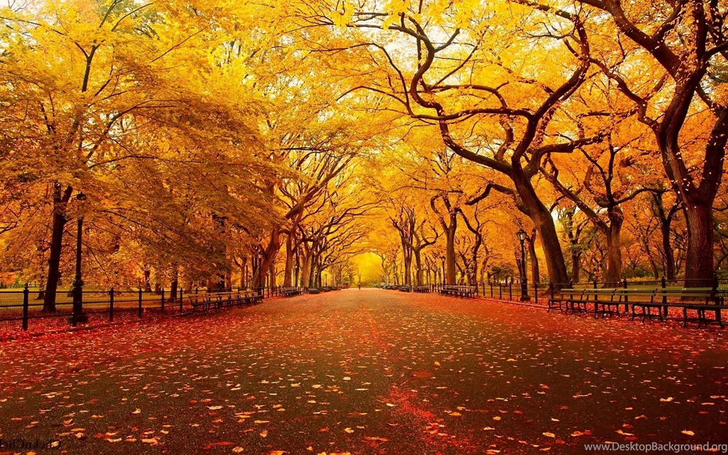 Cool Fall Backgrounds Wallpapers Cave