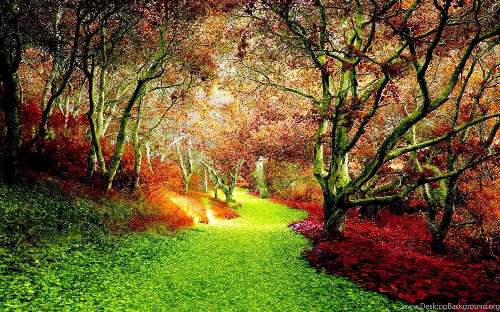 Cool Autumn Backgrounds