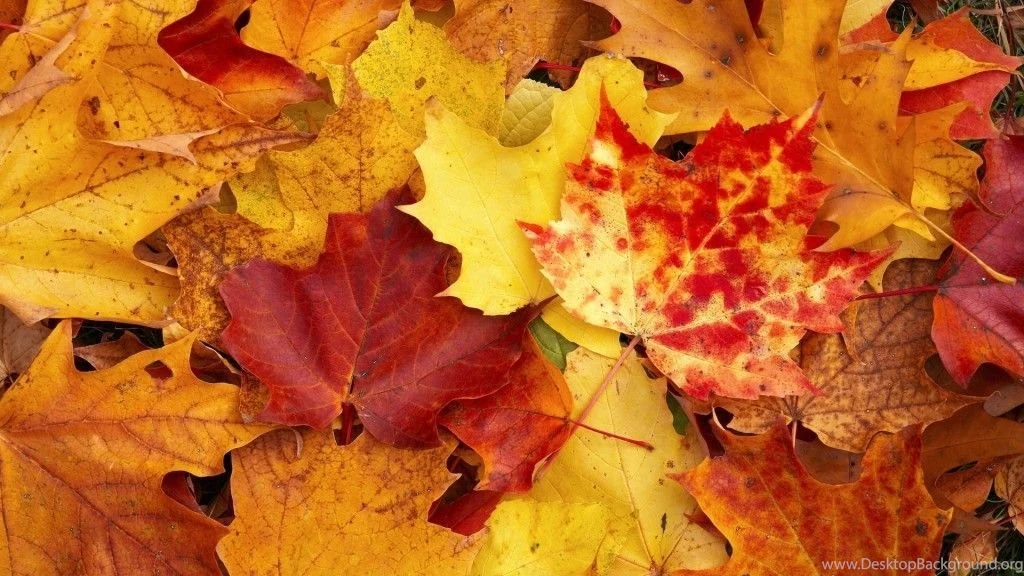 Meet The Fall 2015 You Matter Blogger Council