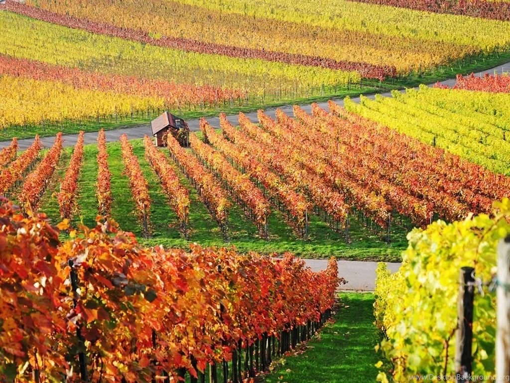 Cool Autumn Wallpapers