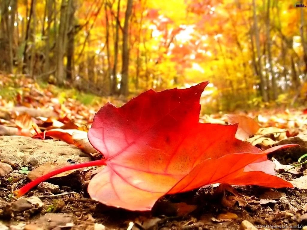 Cool Backgrounds Pictures For Desktop Is Easy To Obtain: Cools By ...