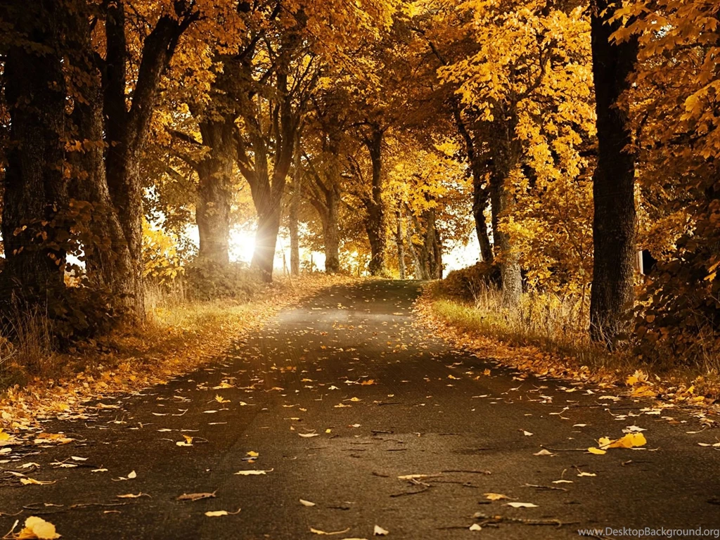 Fall Wallpapers 5f6 HD Wallpapers