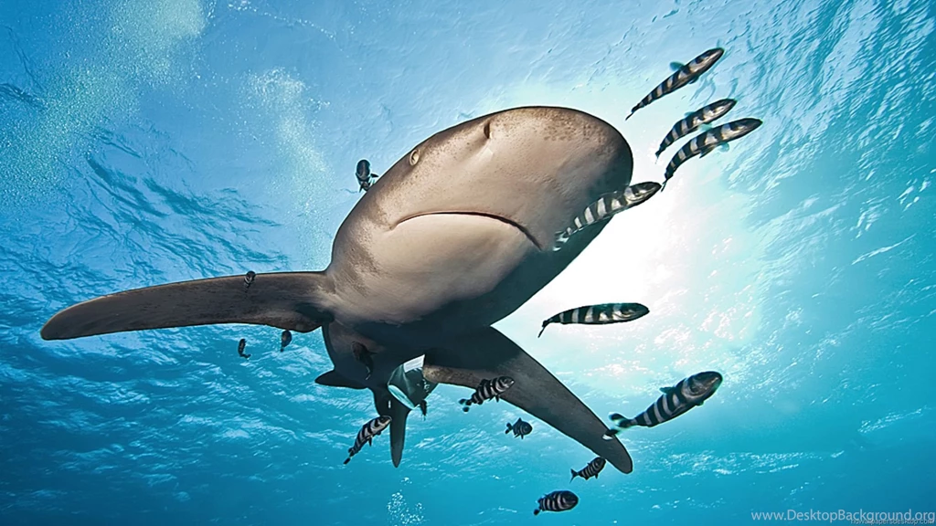 Astronomy Wallpapers 1920 X 1200 HD Pics About Space