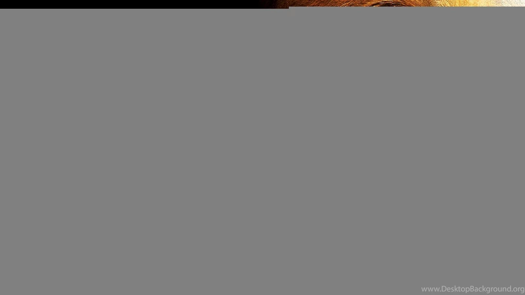 Nature Wallpapers Animals, Lions, Black, Darkolivegreen, Dimgray ...