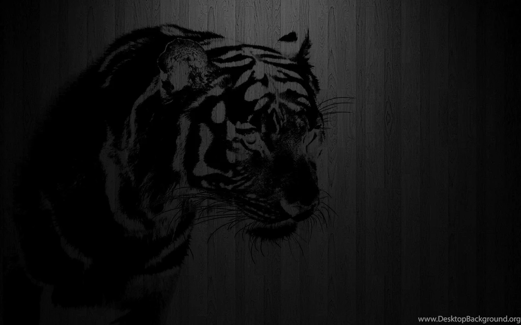 Black Tiger Wallpapers Full HD Wallpapers Search