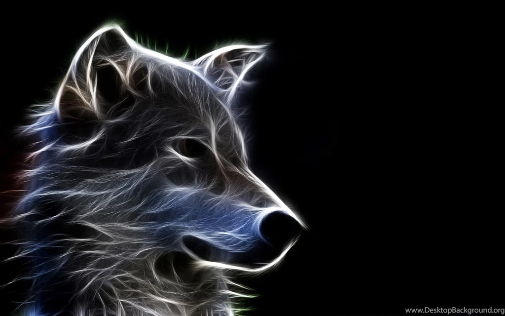 Wolf HD Wallpapers