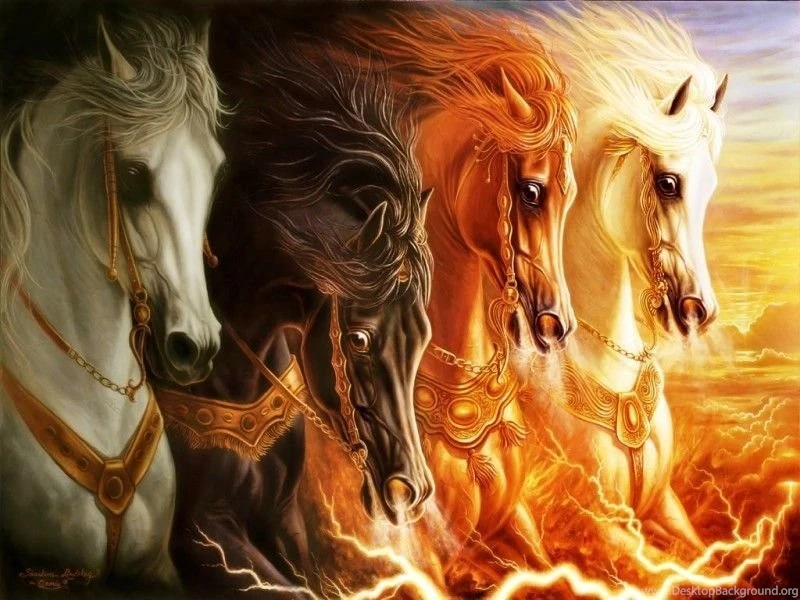 Wallpaper_animal_NC3