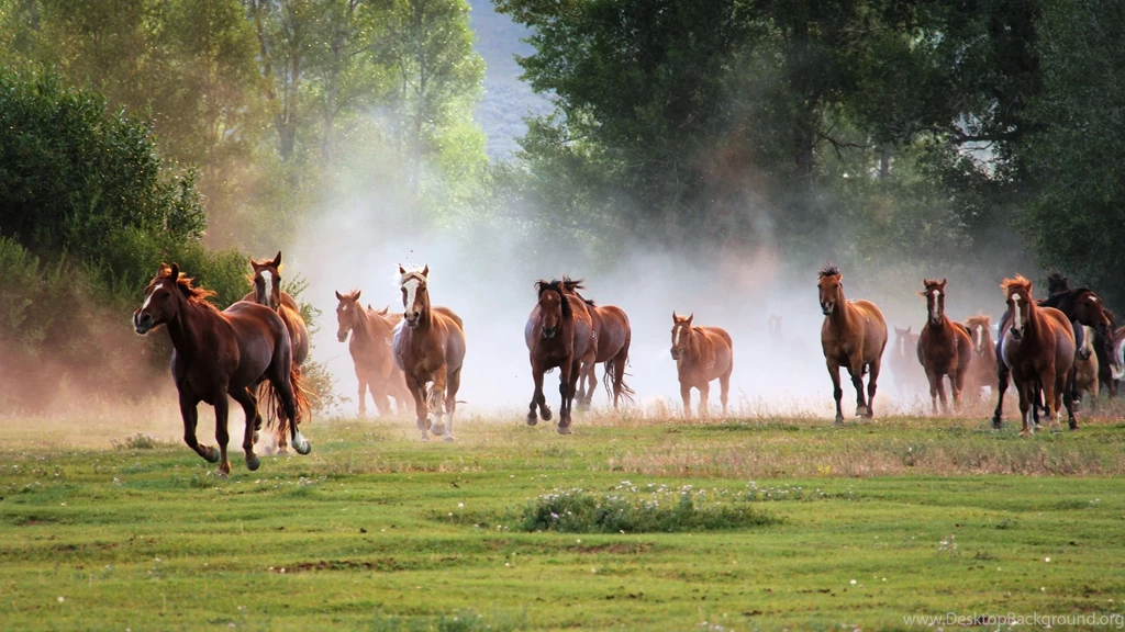 Horses Running Wallpaper.