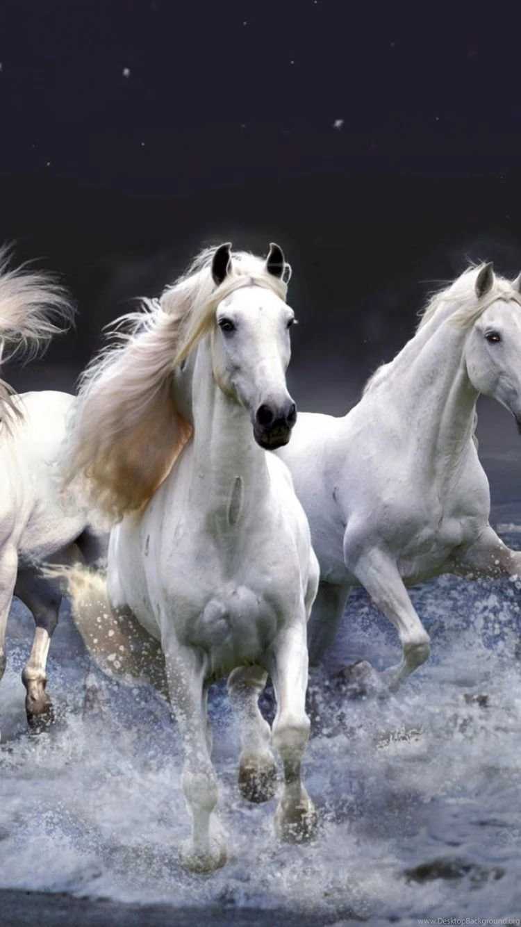 Download Wallpapers 750x1334 Horses, Running, Sky, Waves iPhone 6 ...